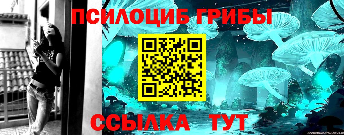 Псилоцибиновые грибы мухоморы Свободный