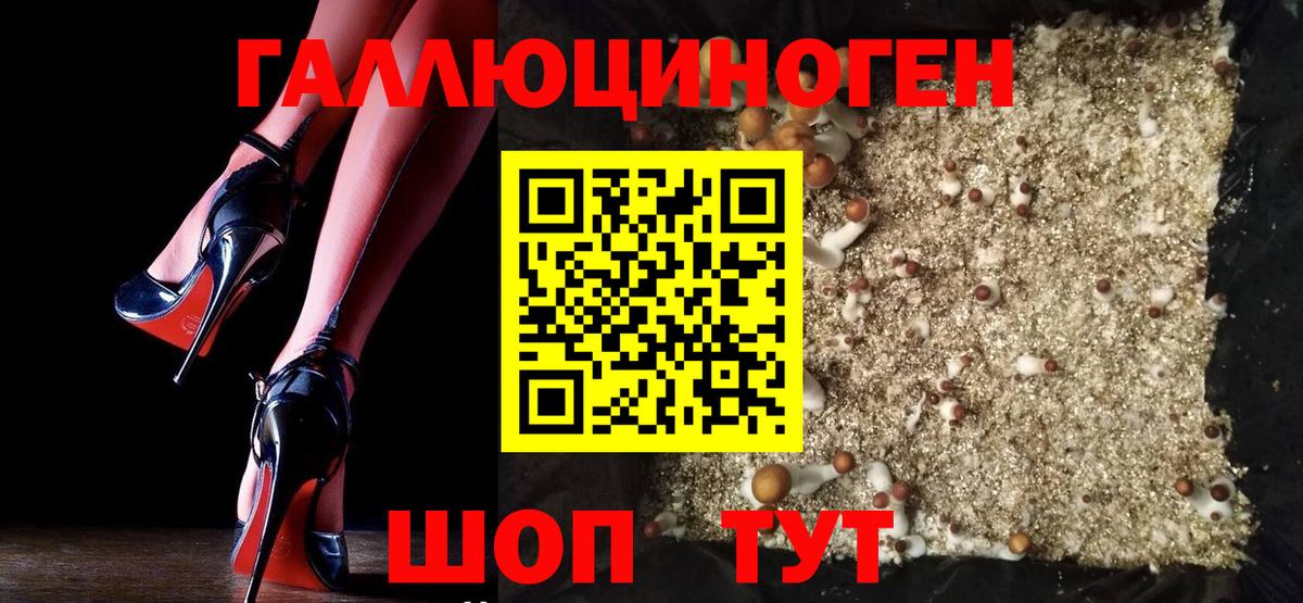 Псилоцибиновые грибы Cubensis  Галлюциногенные грибы прущие грибы  Свободный  где купить наркоту  Вход с VPN 